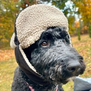 Meet your Posher, Annette